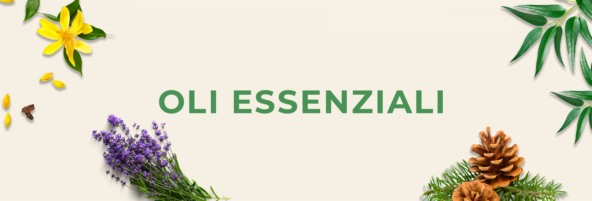 OLI ESSENZIALI