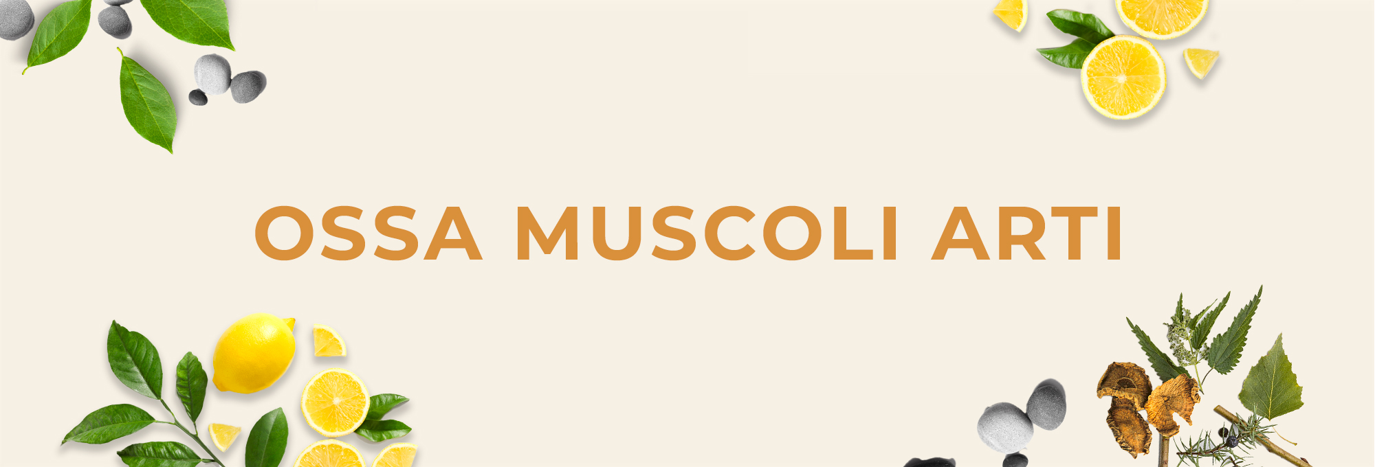 OSSA MUSCOLI ARTI