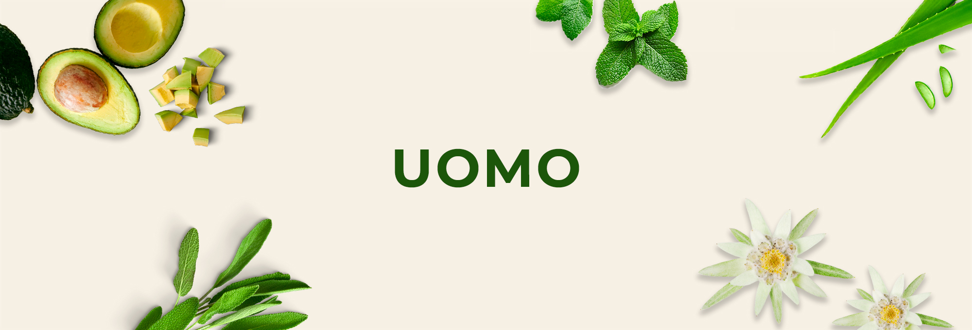 UOMO