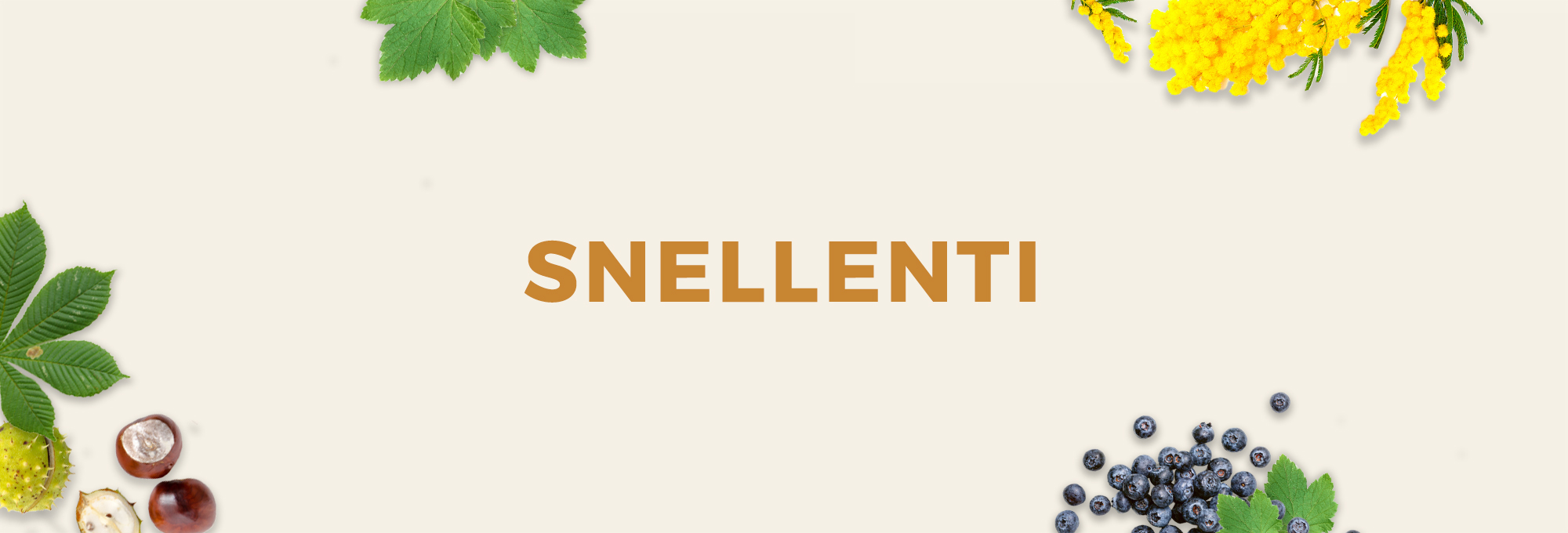 SNELLENTI